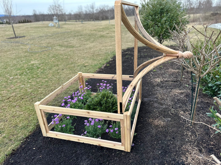 4x4 Cedar English Garden Cloche