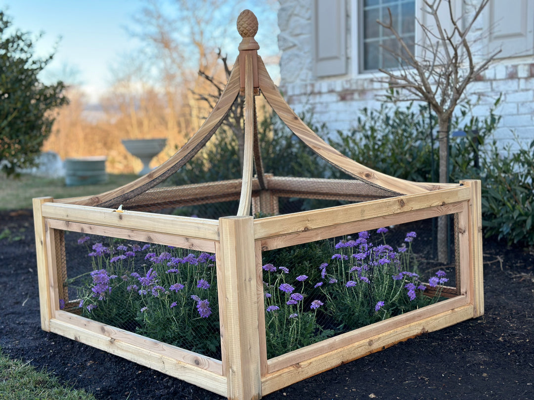 4x4 Cedar English Garden Cloche